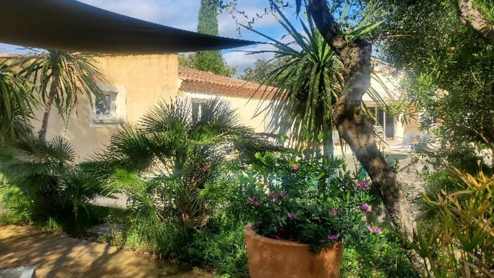 Le Clos Olives Comps  Exteriör bild