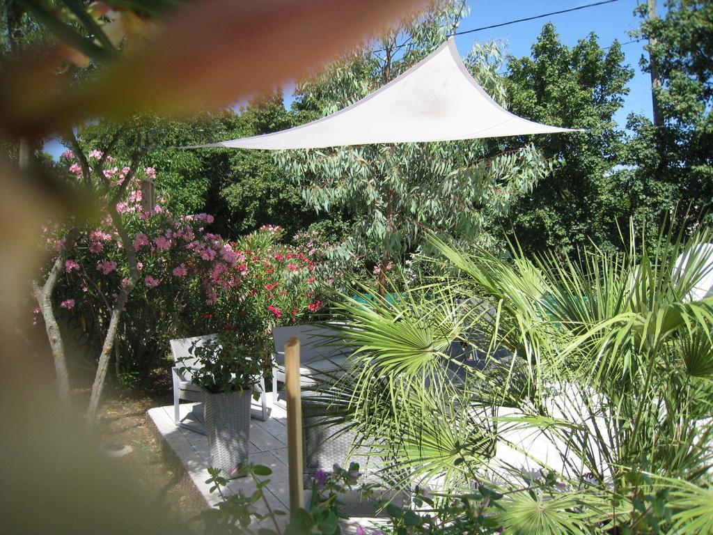 Le Clos Olives Comps  Rum bild