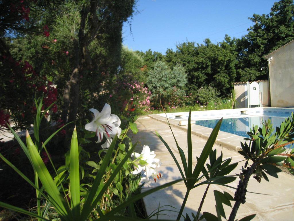 Le Clos Olives Comps  Rum bild