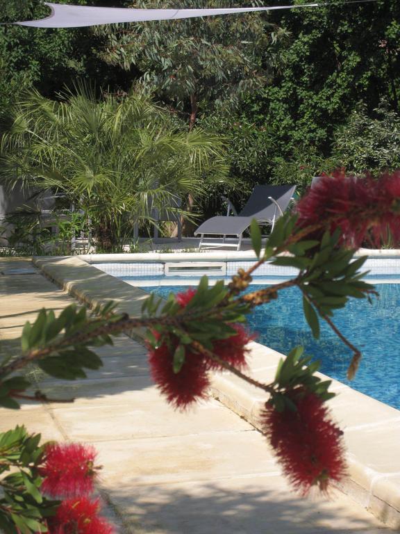 Le Clos Olives Comps  Rum bild