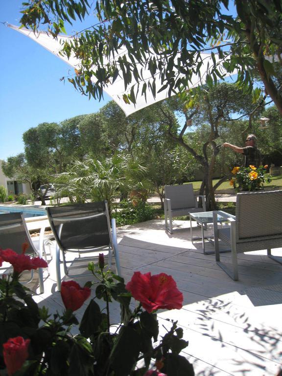 Le Clos Olives Comps  Rum bild