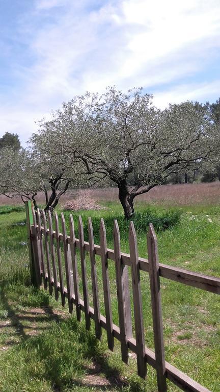 Le Clos Olives Comps  Exteriör bild